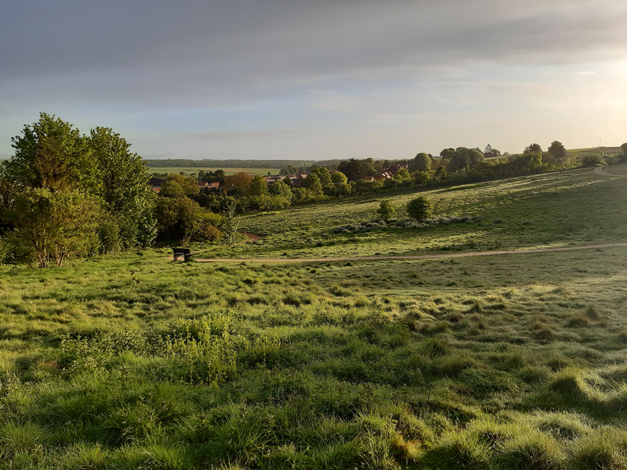 Oxdrove meadow